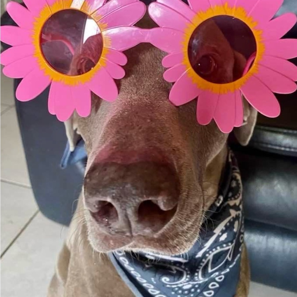 🌴Meet Me🌴 - Picture 3 of 5